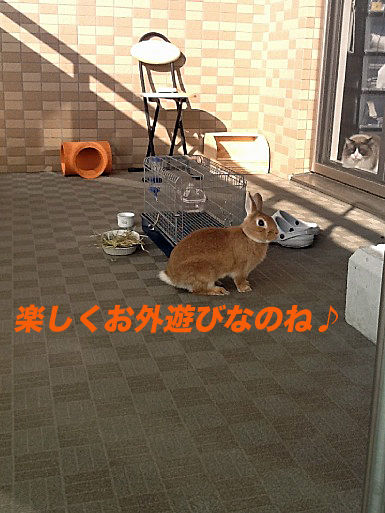 IMG_7694のコピー