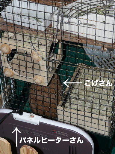 P1070570のコピー