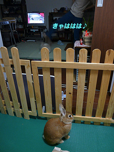 P1120756のコピー