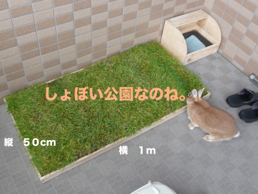 P1090319のコピー