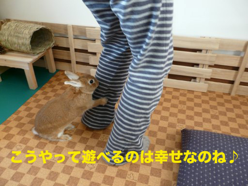 P1080268のコピー