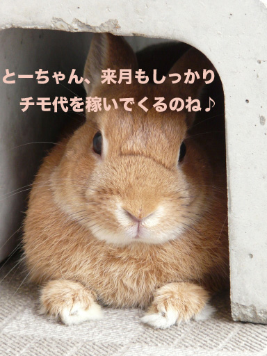 P1060219のコピー