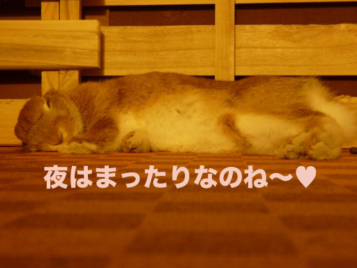 P1060250のコピー