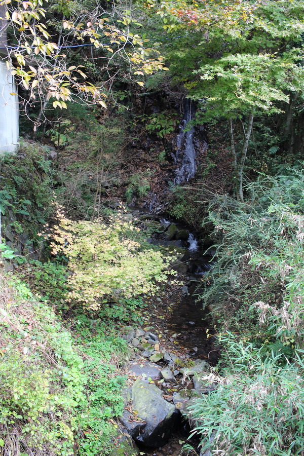 IMG_8592