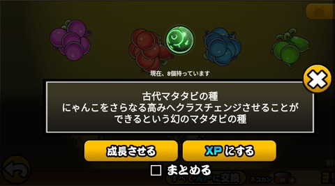 古代 マタタビ 優先