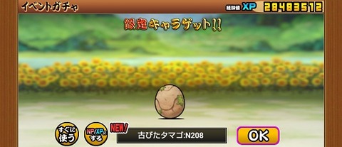 紅一点がこう言ってん