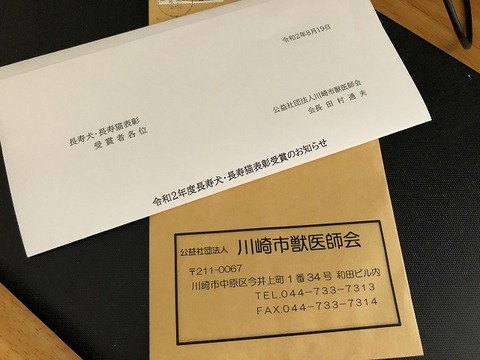 長寿犬表彰