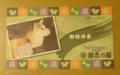 白黒しっぽ　わんいち