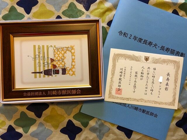 令和2年度長寿犬 長寿猫表彰 See You On The Ocean