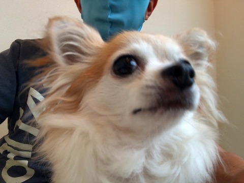 命を預かるということ
