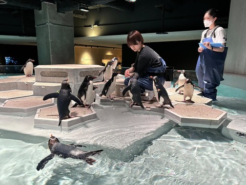 475441124_8443768722389725_6734552659709005556_n