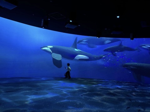 475458276_8443768525723078_5872011566316180720_n