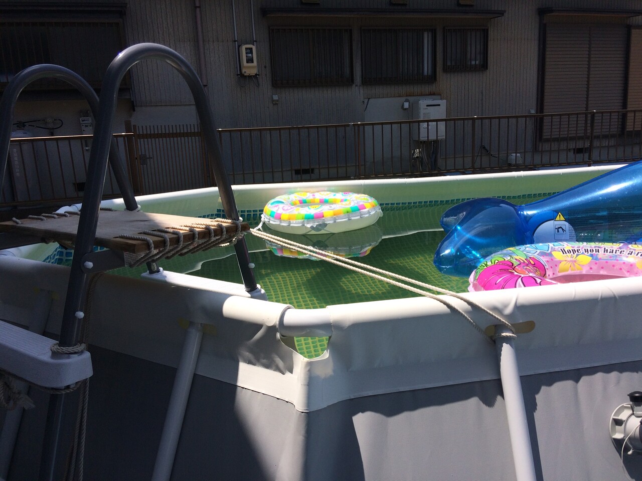 家庭用 大型ビニールプール買い替えました パート5 プール開き編 泳げタイオガくん bmw z4m キャンピングカー 家庭用 大型ビニールプール買い替えました パート5 プール開き編 泳げタイオガくん bmw z4m キャンピングカー