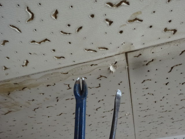 台所 天井と壁剥がし ティピとパオの物語