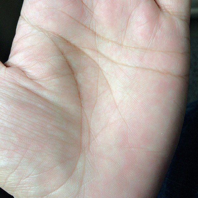 手相は語る 羅志祥 Show 祥祥日記 Plus