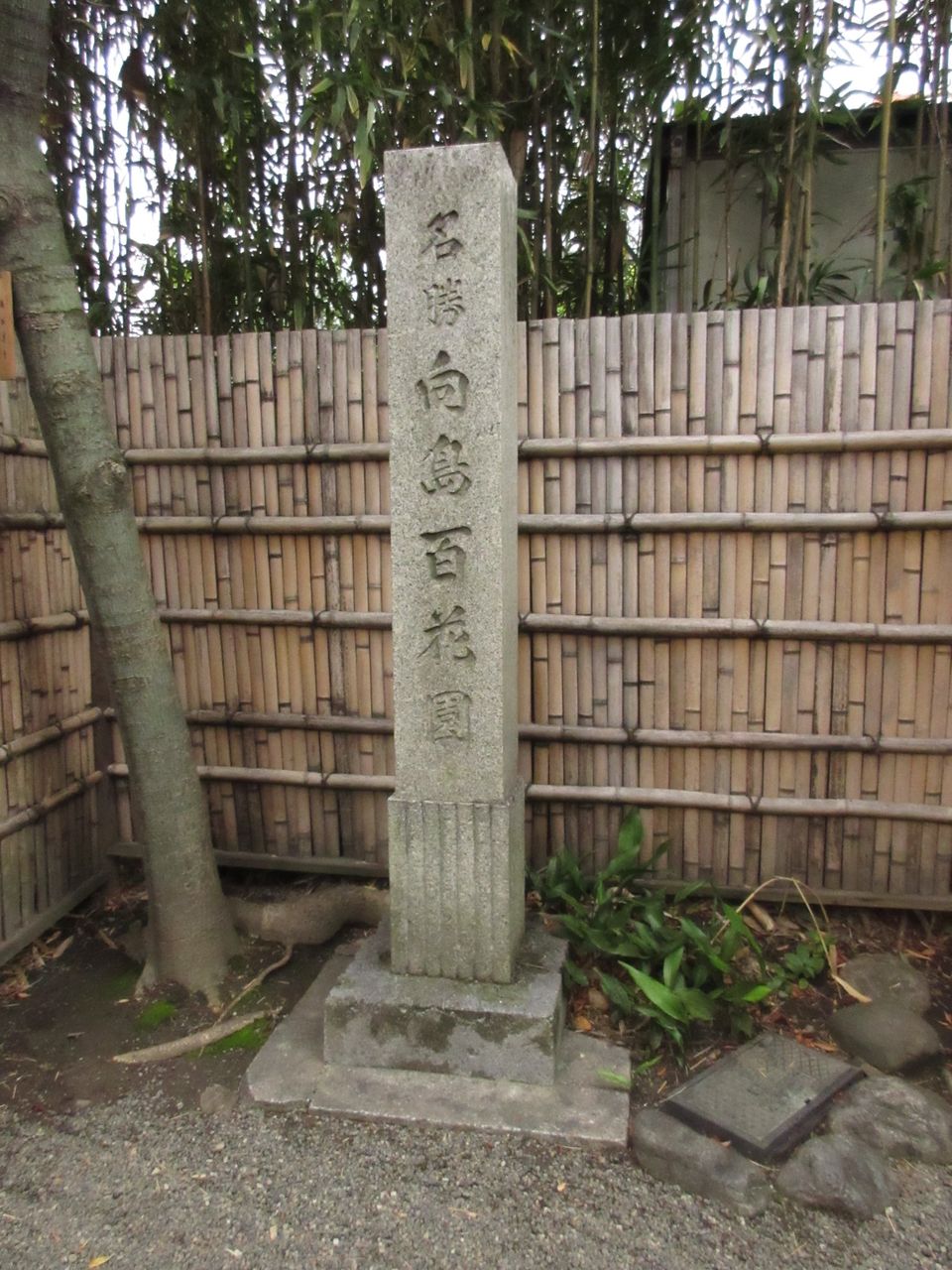 晩秋の向島百花園 In Sumida 暮らしのかけら Tips Of Daily Life