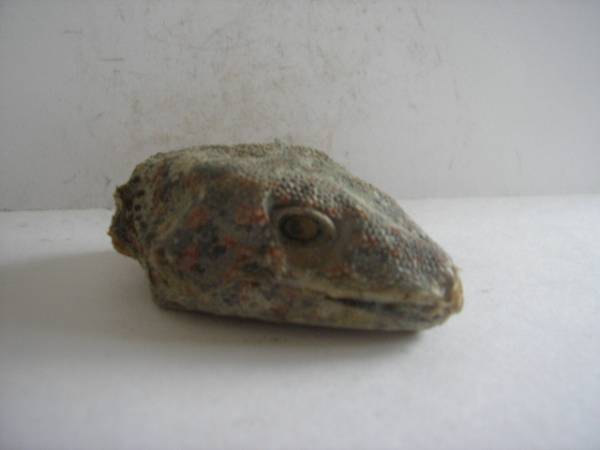 missingu2780-img600x450-133513455460wc6w81184