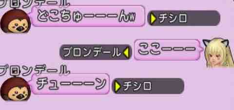 5005