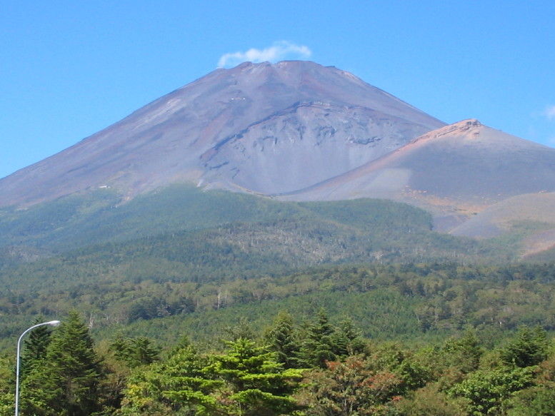富士山宝永山火口 花柴日誌 富士山宝永山火口 花柴日誌