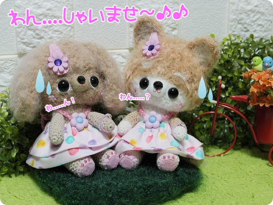 mRNU3I9kf1vAbYY1650004563_1650004987