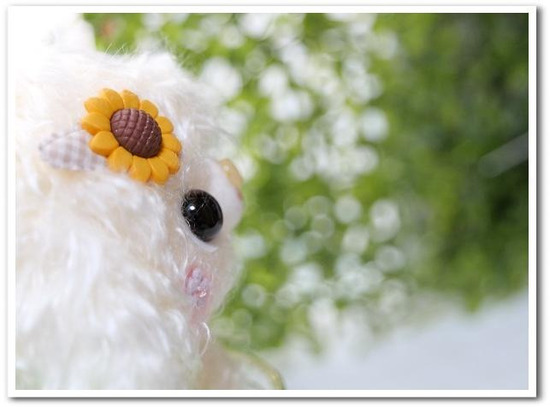 o0643047614522715092