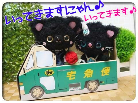 y6r5YsXC9WpQJKr1553139087_1553139194