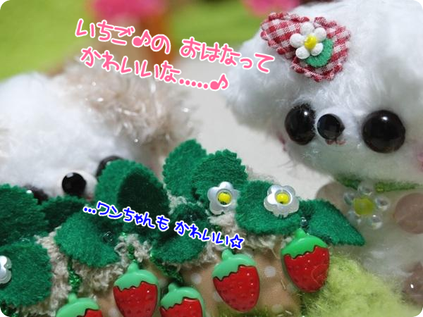 zs5u0VHclRs8Ooa1757647175_1757647596