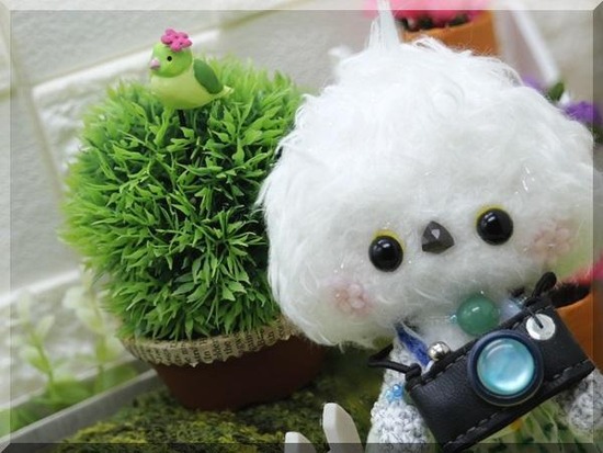 ZppFRLr19eII12c1702621333_1702621359