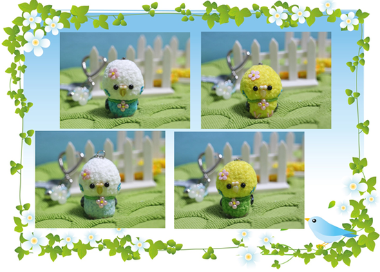 ４セキセイインコ