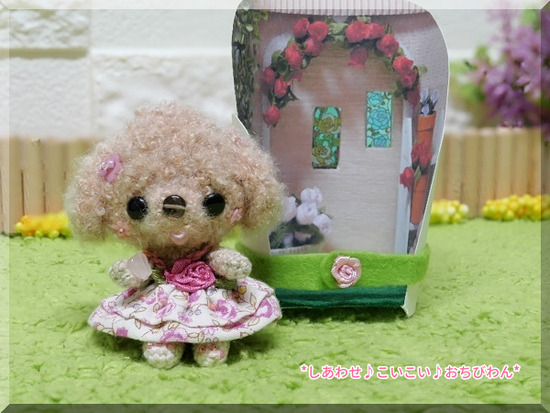 oZvheZ8GDvILDG71580741732_1580741767