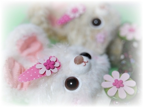 4HuYefjW0ItvcCY1572330577_1572330581