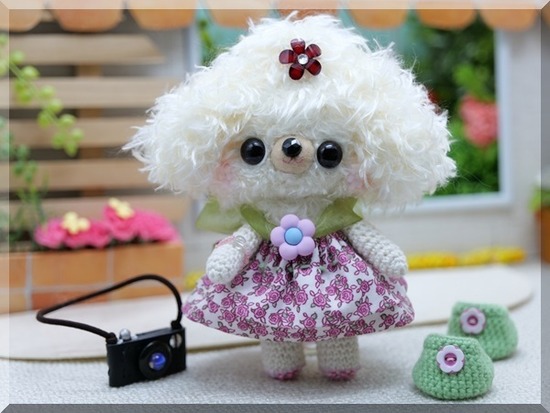 fwvnImgAoDDi1pP1708411018_1708411022