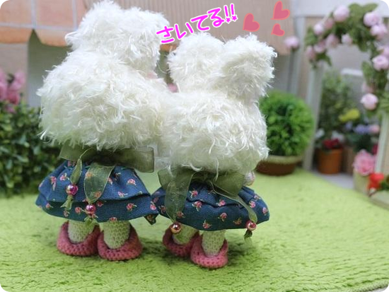 okU3fOb7Zprjqv01660916654_1660916878