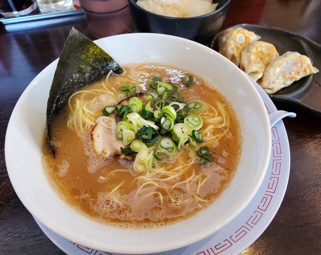 博多らーめん ひまわり 所沢市 豚骨命の主にラーメンの話