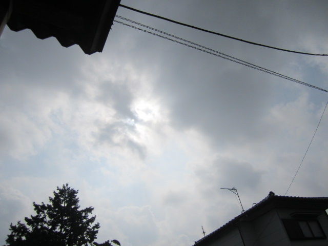イメージ 1