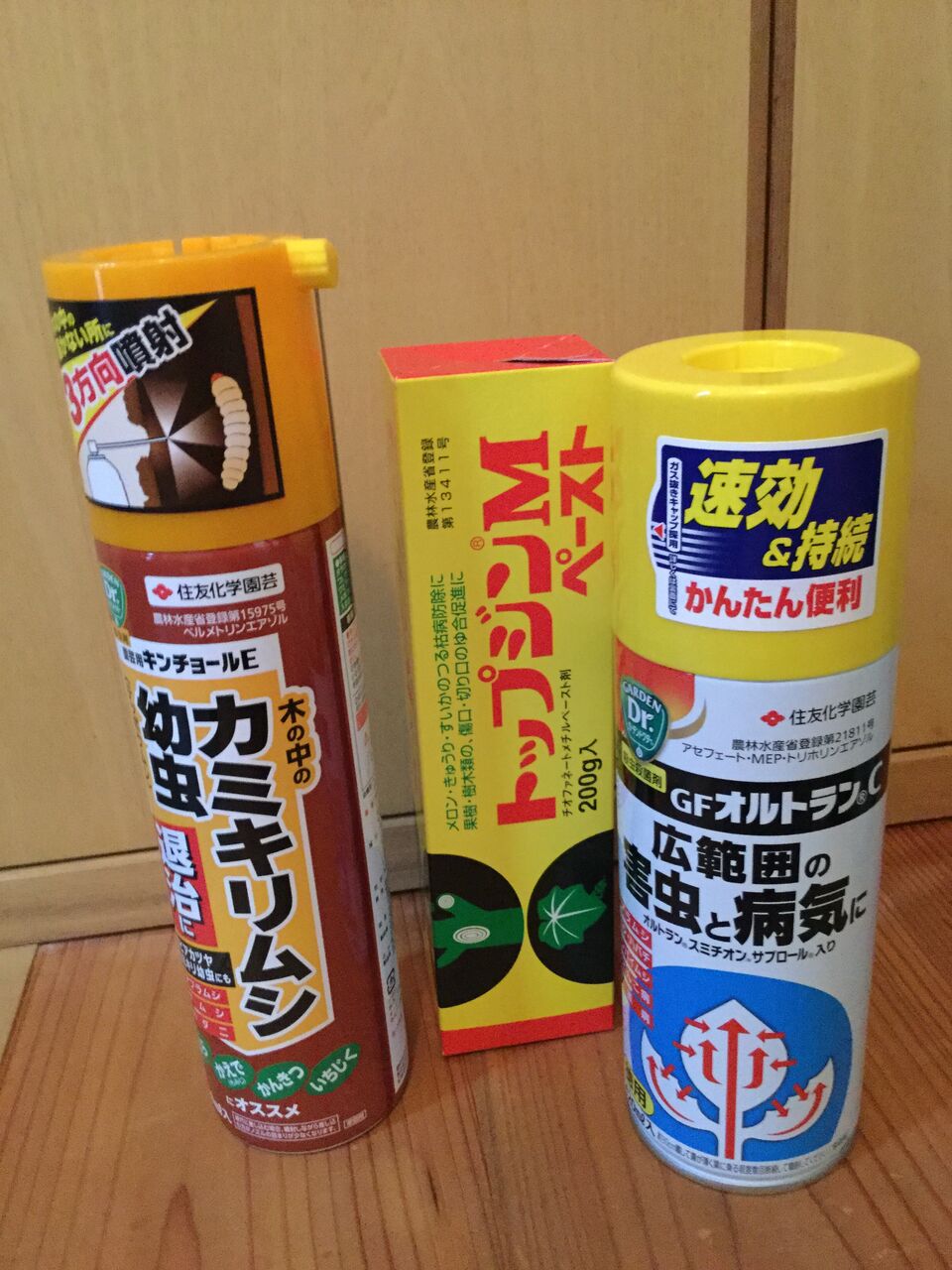 プルーンの木に異変 木漏れ日の中の小さな家から