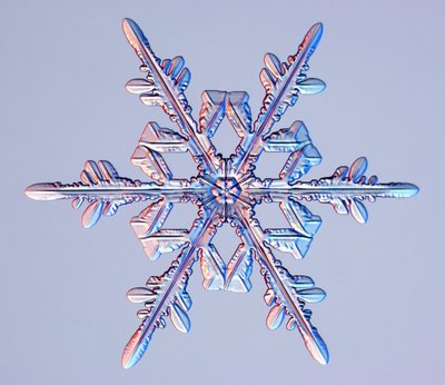 見とれるほど美しい雪の結晶 とりあえず 見とれるほど美しい雪の結晶 とりあえず