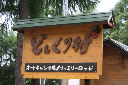 donguri1