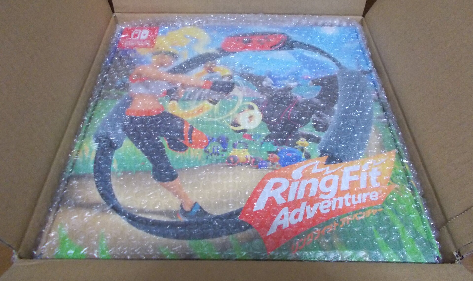 しばらくリングでフィットネス 暇つぶしブログ