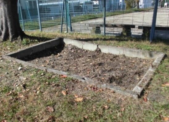 ブロック囲への畦波板囲の取付 サギソウ ブロック囲への畦波板囲の取付 サギソウ