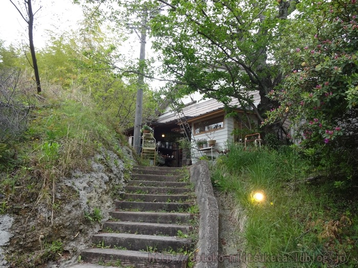 VERT DE GRIS (5)