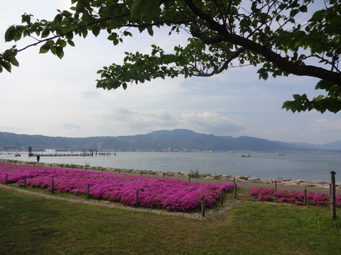 NagisaPark (38)