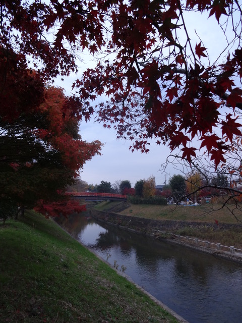 Tatsutagawa (48)