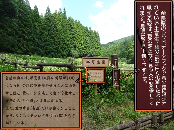 Hangeshou (14)