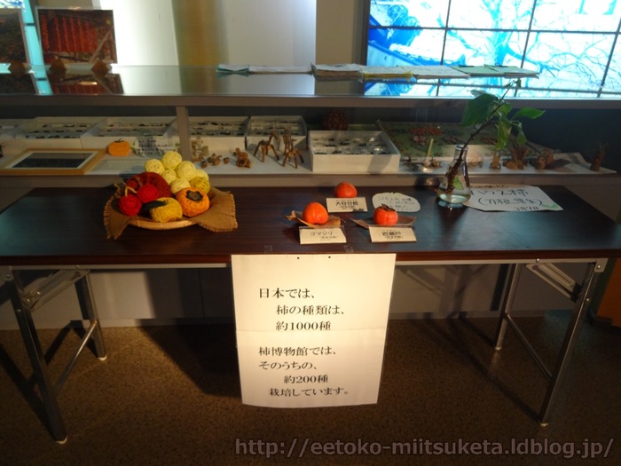 KakiHakubutukan (21)