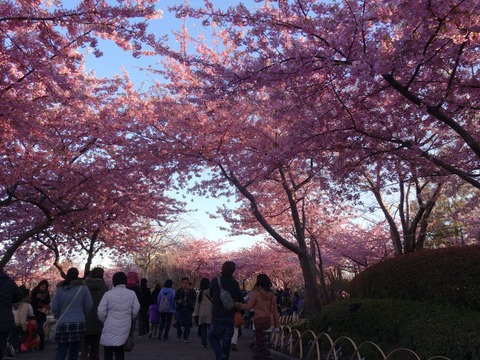 20140322 (54)