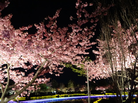 20140322 (134)
