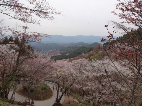 20140413 (24)