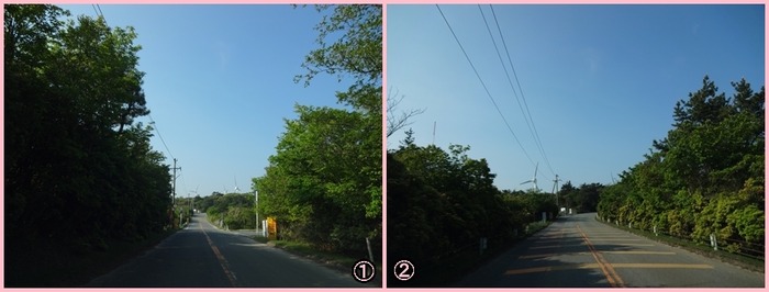 AoyamaKougen (14)