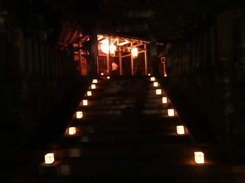 Tomijinjya (41)